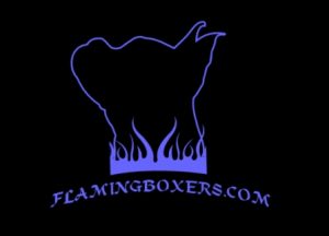 Kim Mays @ Flamingboxers.com